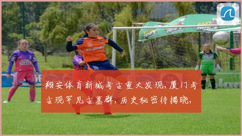 翔安体育新城考古重大发现,厦门考古现罕见古墓群,历史秘密待揭晓,惊喜连连